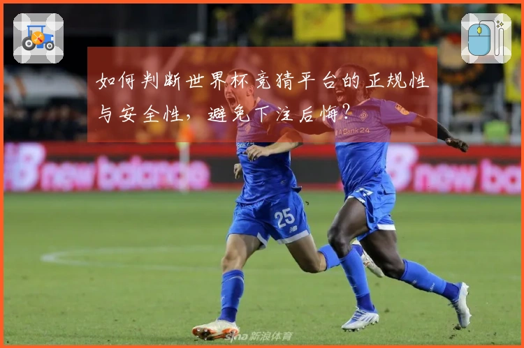如何判断世界杯竞猜平台的正规性与安全性，避免下注后悔？