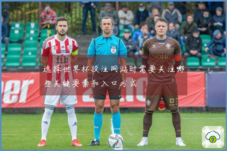 选择世界杯投注网站时需要关注哪些关键要素和入口方式