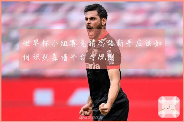 世界杯小组赛竞猜思路新手应该如何识别靠谱平台与规则