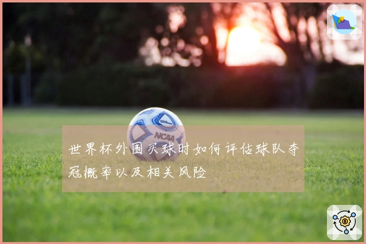 世界杯外围买球时如何评估球队夺冠概率以及相关风险