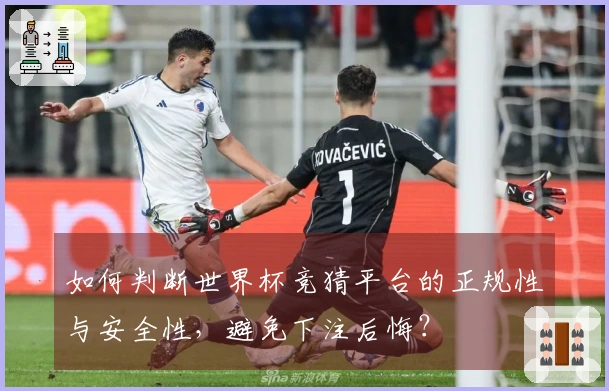 如何判断世界杯竞猜平台的正规性与安全性，避免下注后悔？