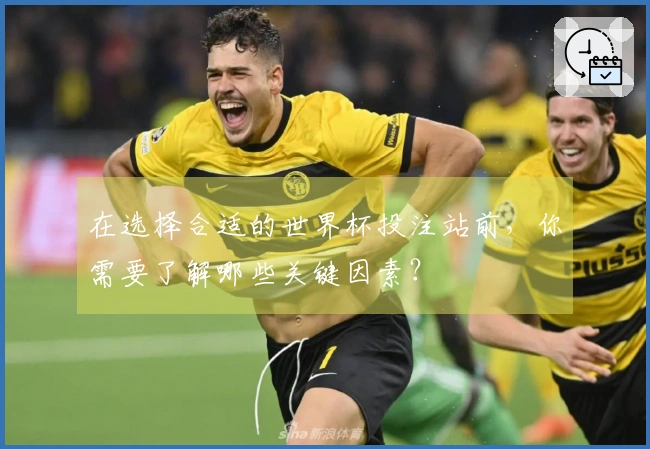 在选择合适的世界杯投注站前，你需要了解哪些关键因素？