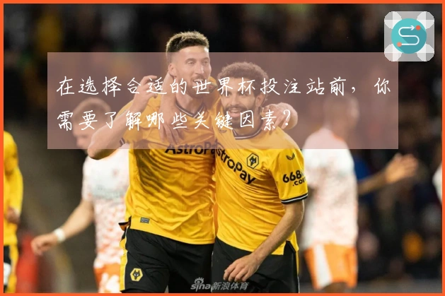 在选择合适的世界杯投注站前，你需要了解哪些关键因素？